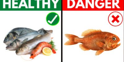 6 of The Healthiest Fish to Eat and 7 to Avoid