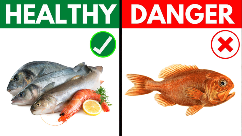 6 of The Healthiest Fish to Eat and 7 to Avoid