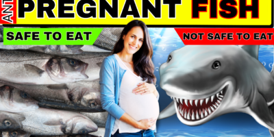 Fish To Avoid During Pregnancy