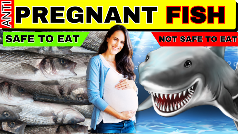 Fish To Avoid During Pregnancy