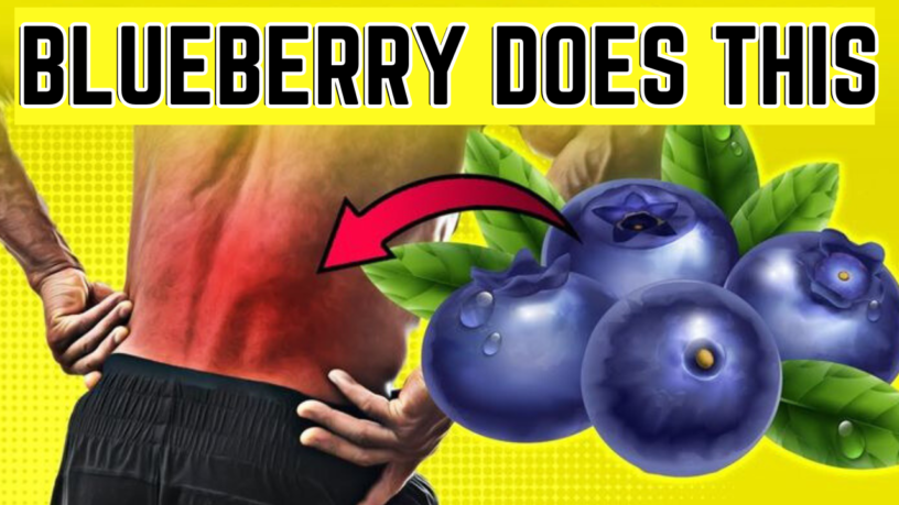 What Happens to your Body When You Eat Blueberry Daily