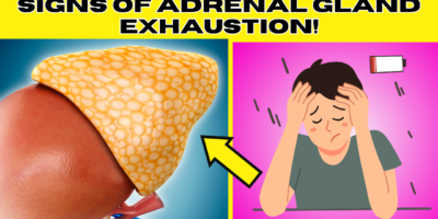 Test: How exhausted are your adrenal glands