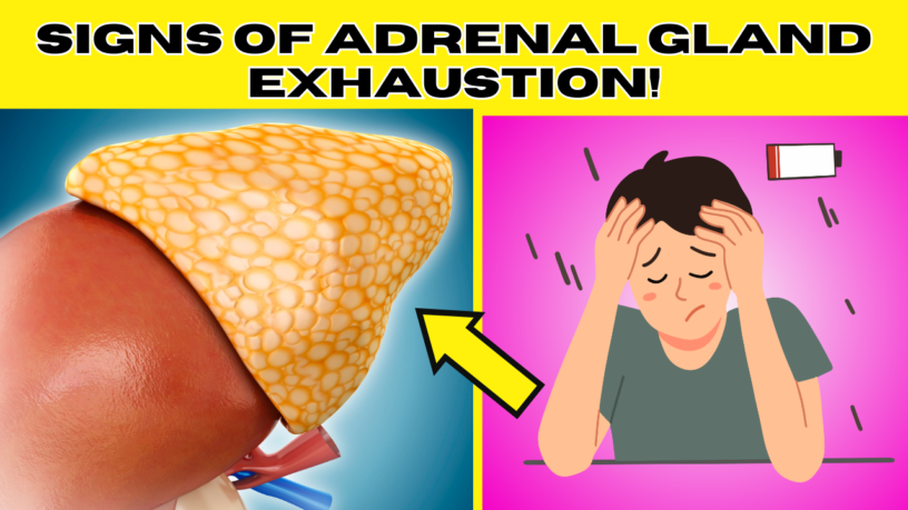 Test: How exhausted are your adrenal glands