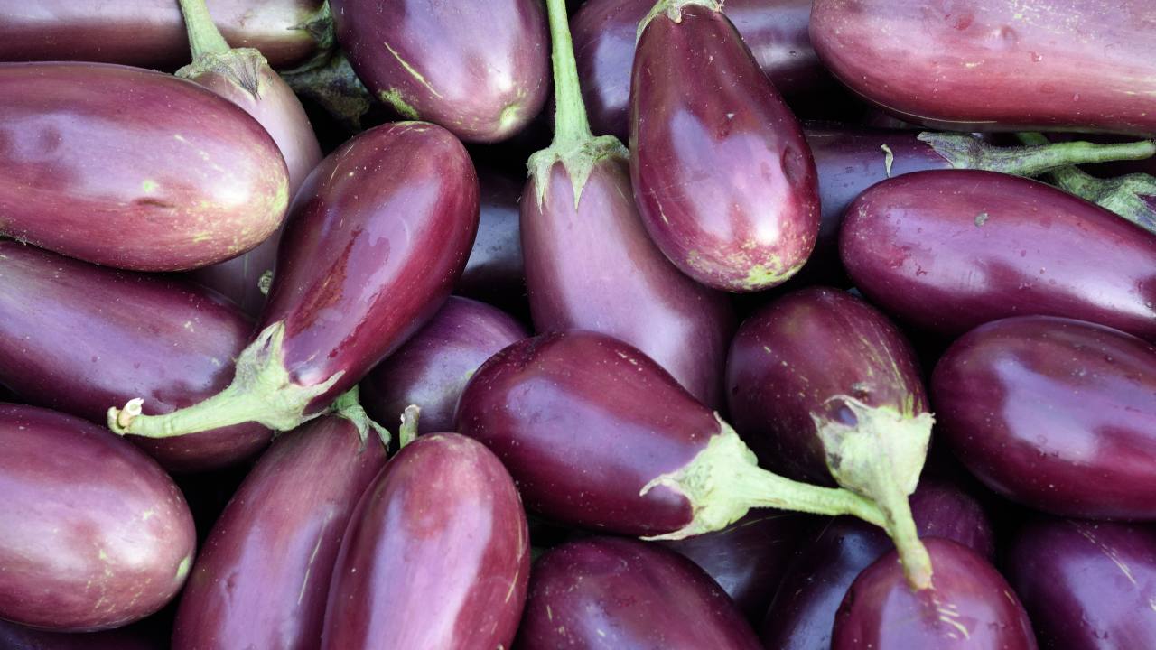 eggplant benefits, how to cook eggplant, is eggplant good for you, eggplant nutrition facts, eggplant for weight loss, eggplant skin benefits, eggplant recipes, nightshade vegetables, nasunin antioxidant, low calorie vegetables